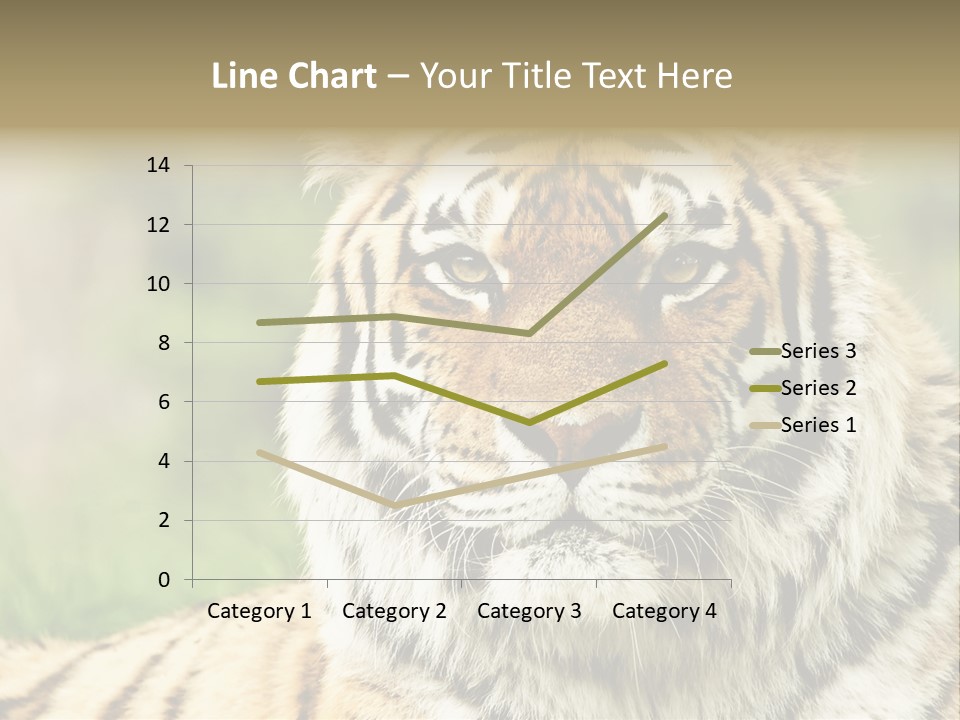Paradise Park Broxbourne PowerPoint Template
