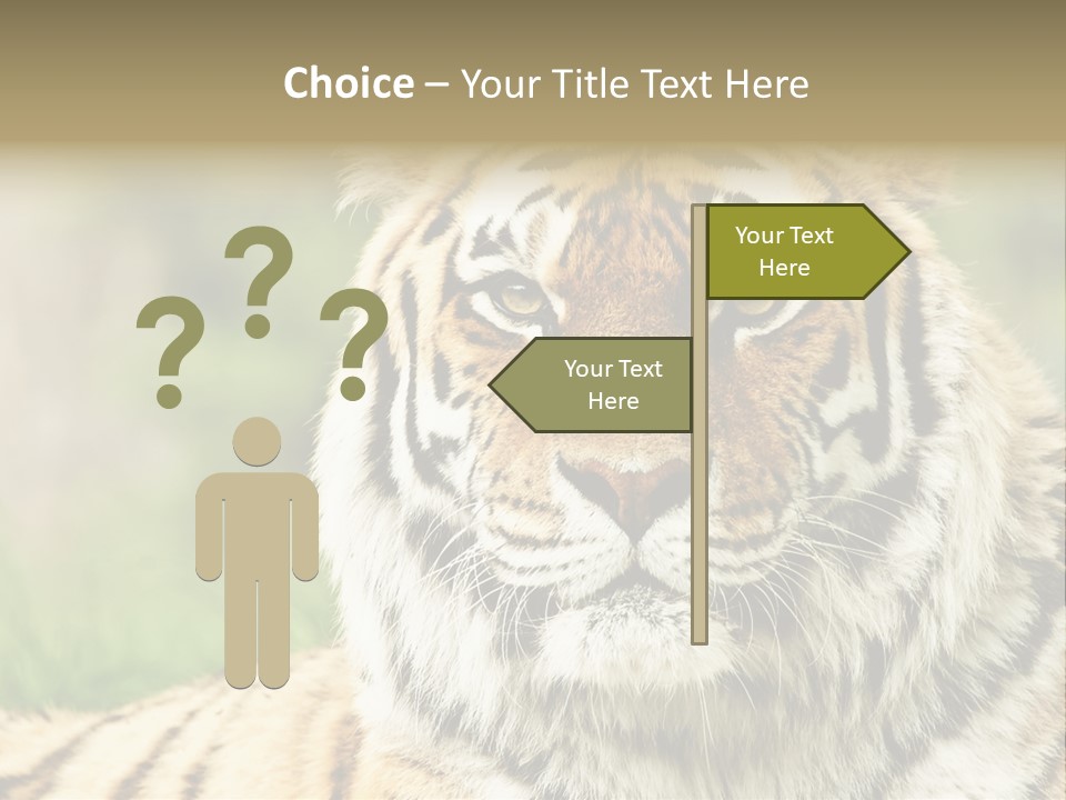 Paradise Park Broxbourne PowerPoint Template