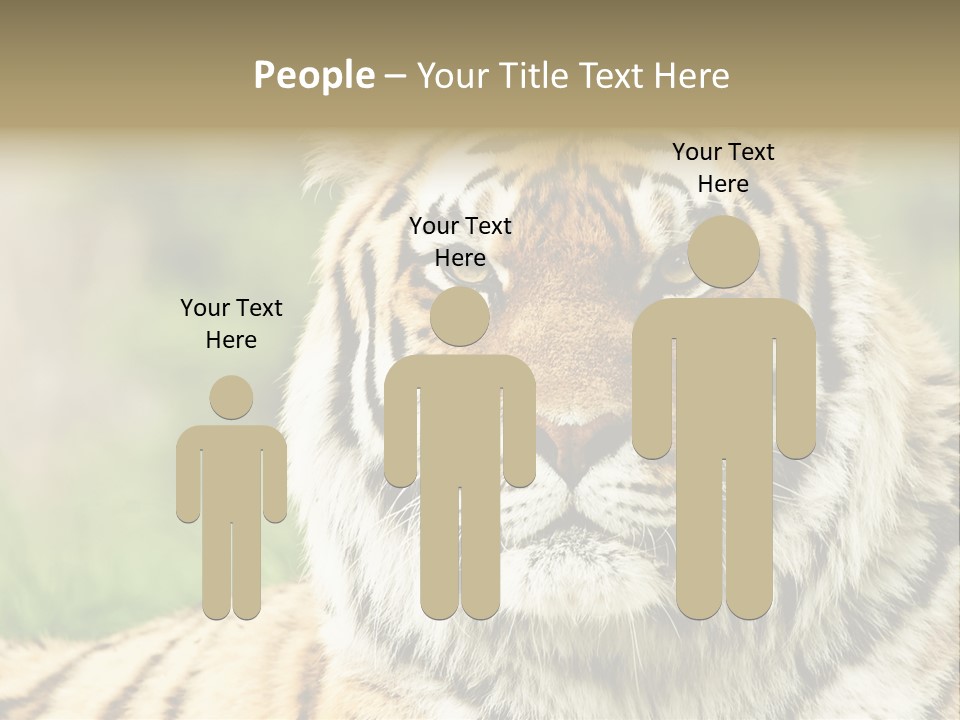 Paradise Park Broxbourne PowerPoint Template