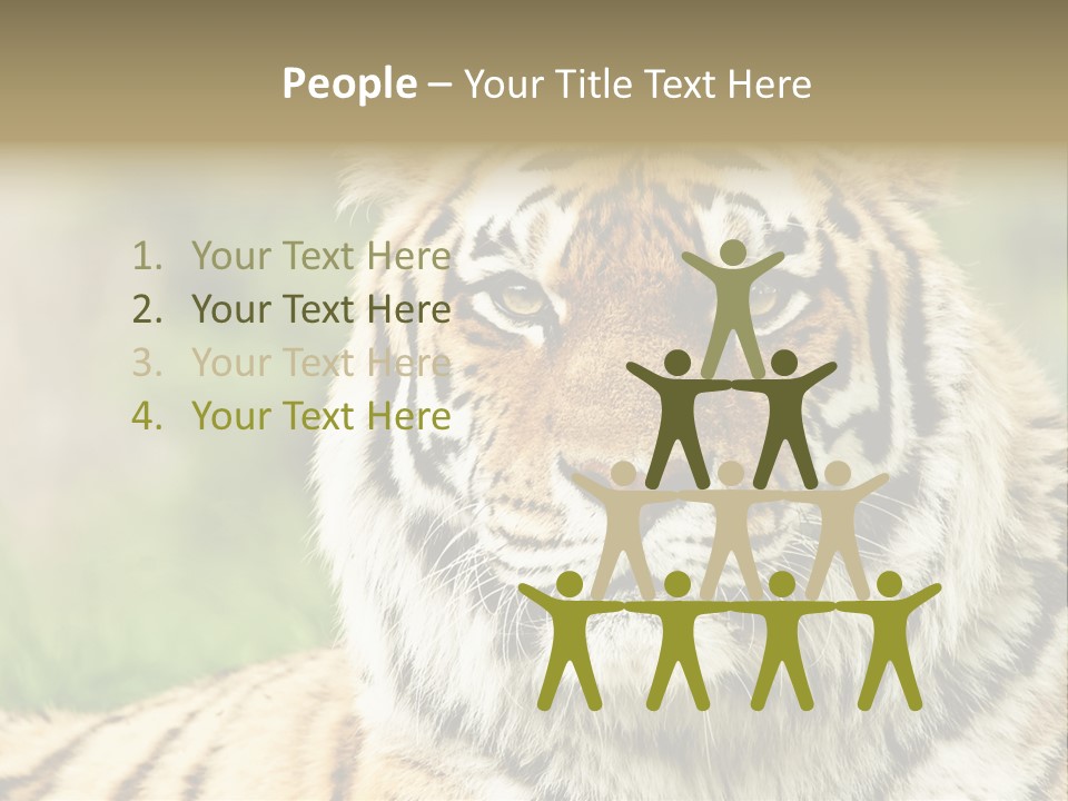 Paradise Park Broxbourne PowerPoint Template