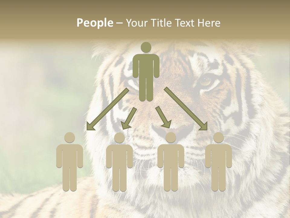 Paradise Park Broxbourne PowerPoint Template