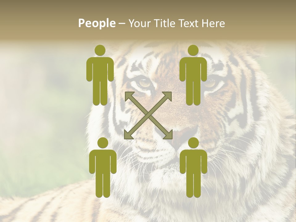 Paradise Park Broxbourne PowerPoint Template