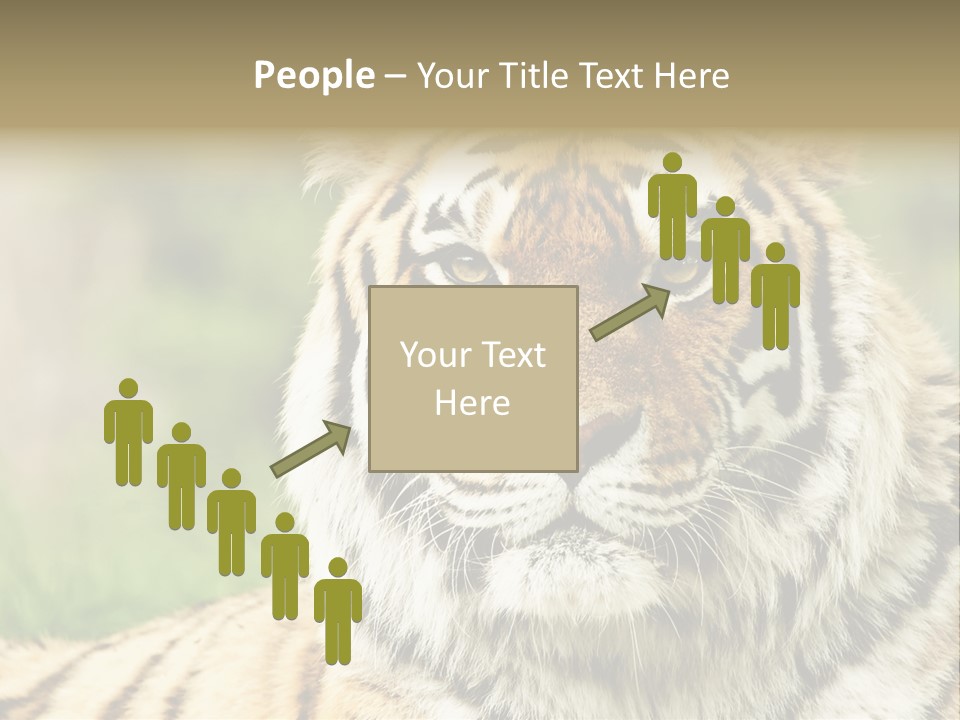 Paradise Park Broxbourne PowerPoint Template