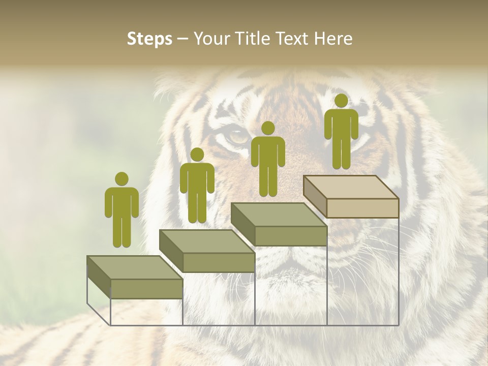 Paradise Park Broxbourne PowerPoint Template