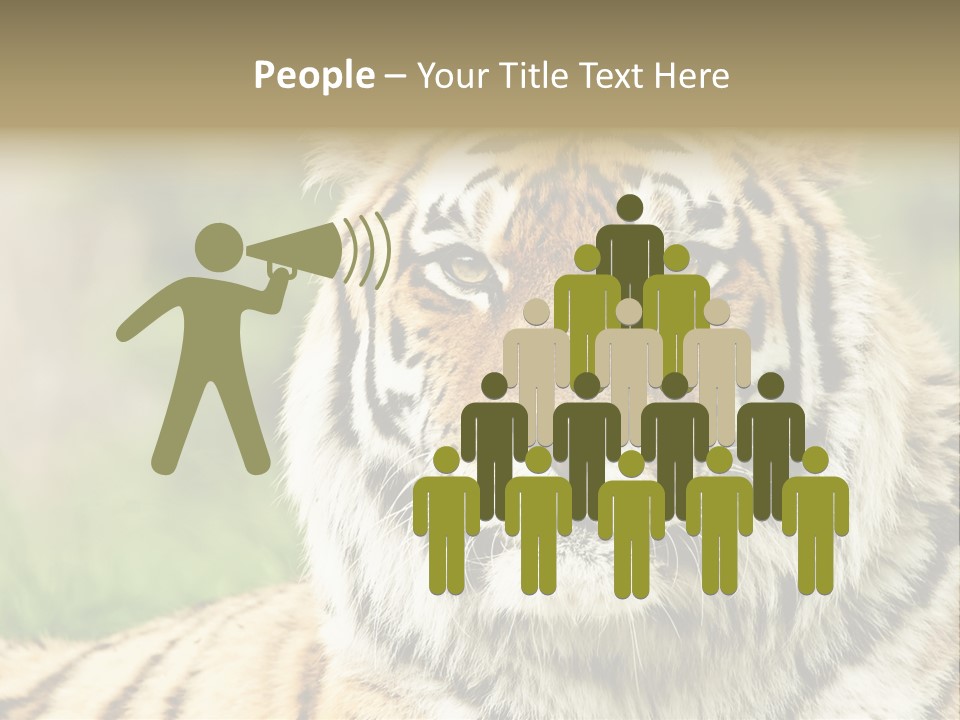 Paradise Park Broxbourne PowerPoint Template