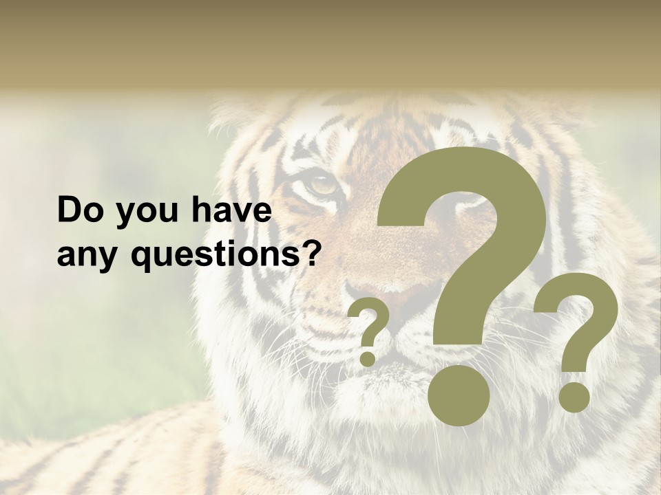 Paradise Park Broxbourne PowerPoint Template