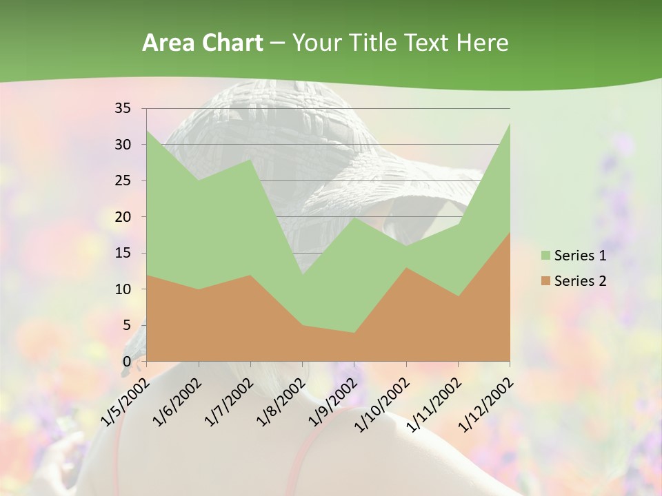 Sunny Summer Casual PowerPoint Template