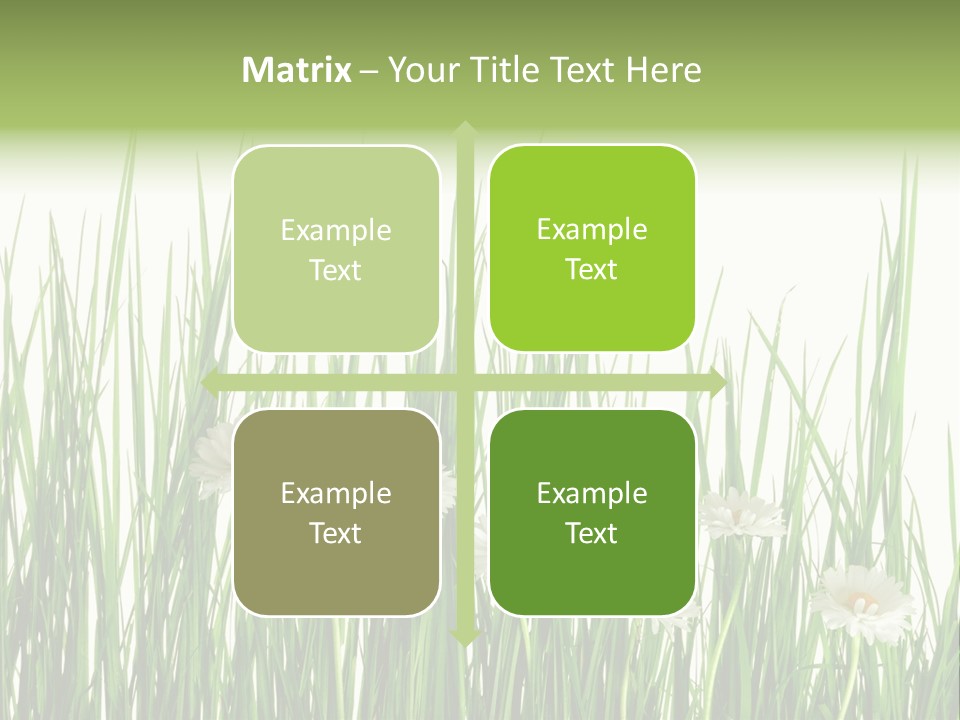 Flower Sprout Isolated PowerPoint Template