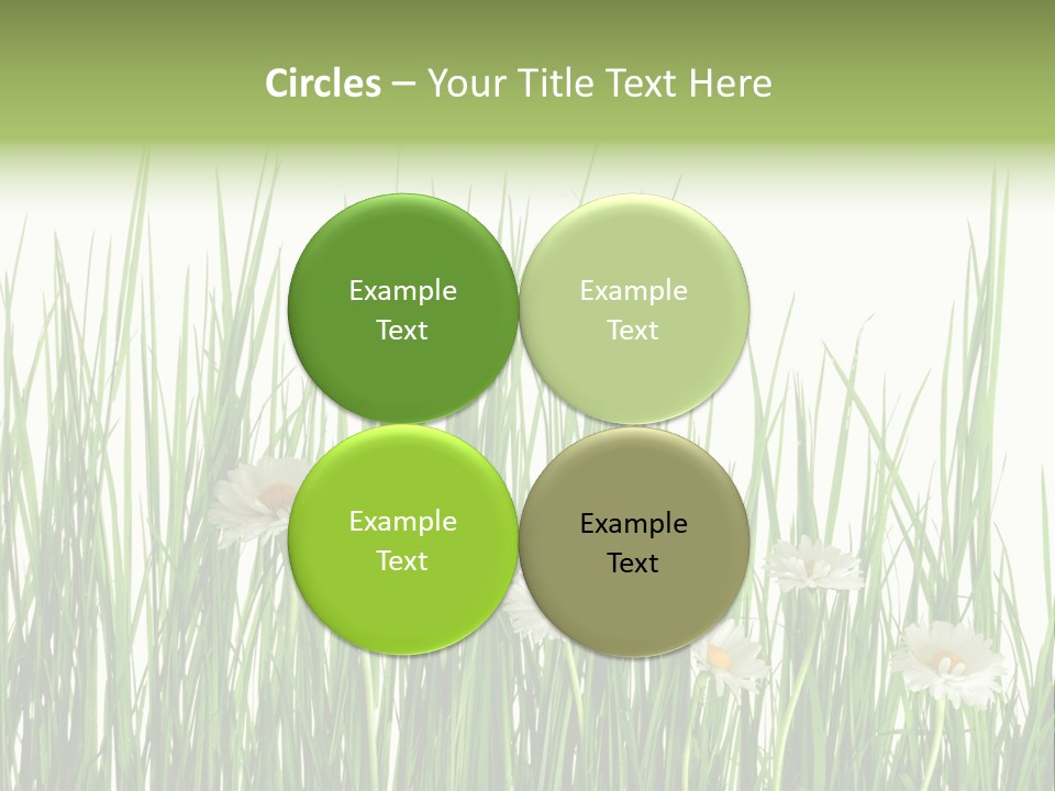 Flower Sprout Isolated PowerPoint Template