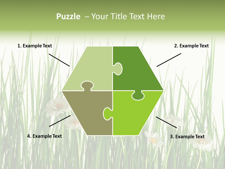 Flower Sprout Isolated PowerPoint Template