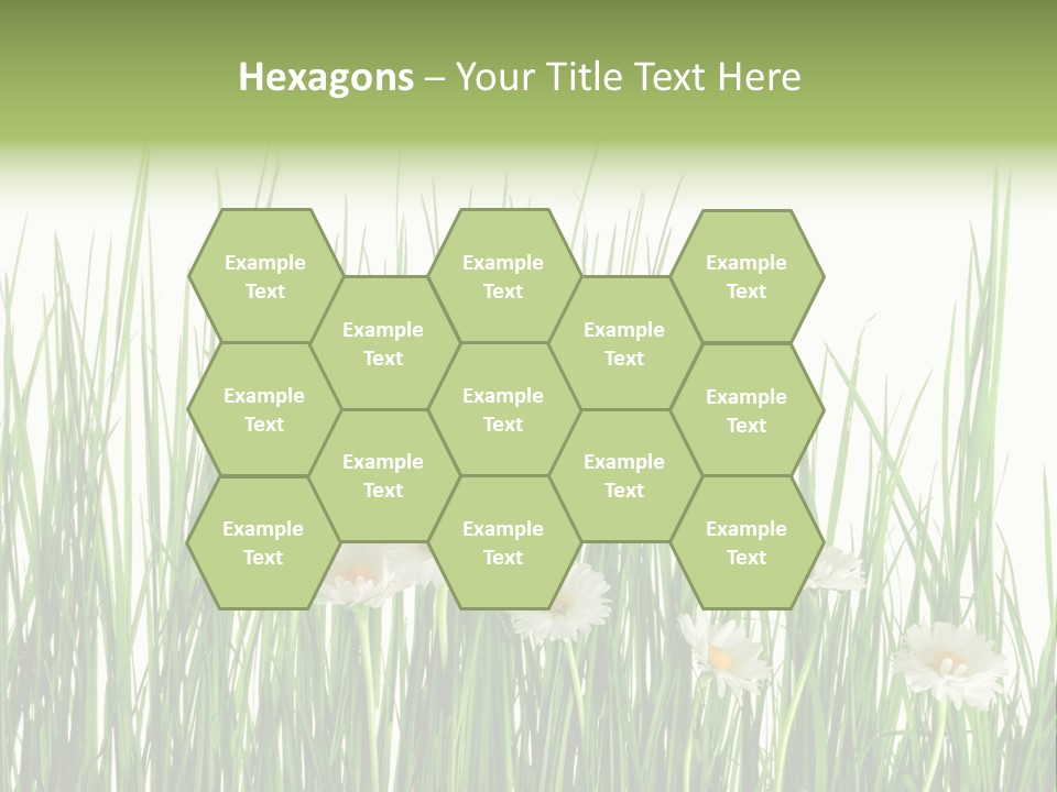 Flower Sprout Isolated PowerPoint Template