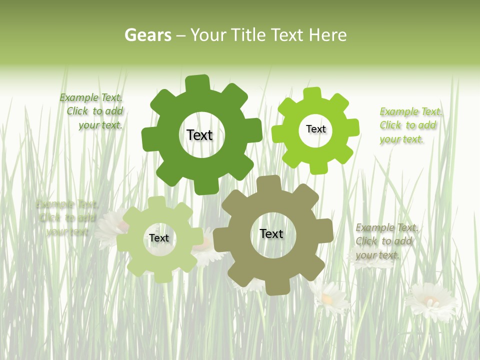 Flower Sprout Isolated PowerPoint Template