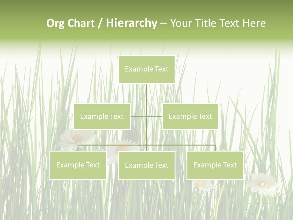 Flower Sprout Isolated PowerPoint Template