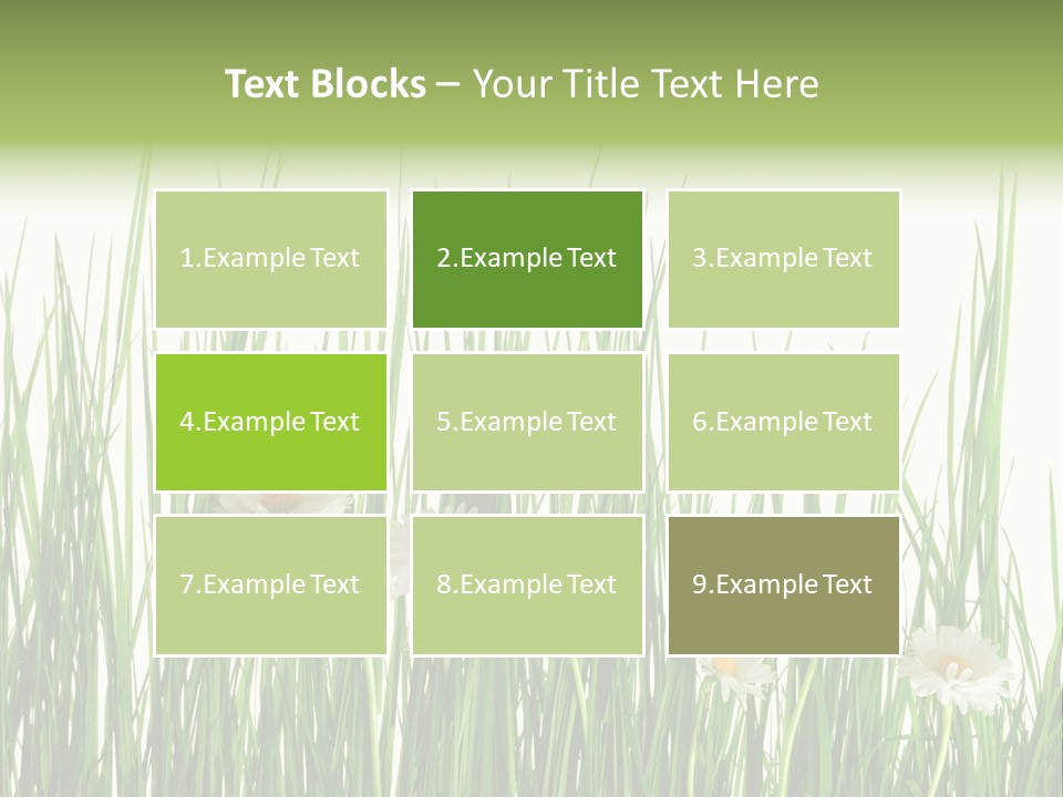 Flower Sprout Isolated PowerPoint Template