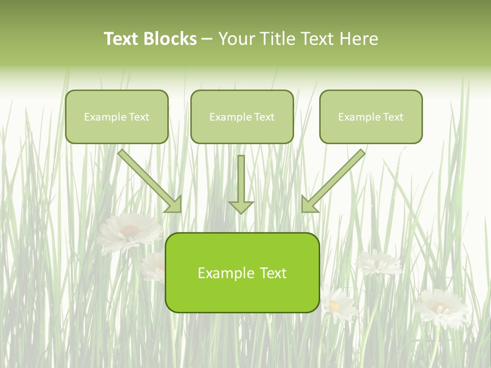 Flower Sprout Isolated PowerPoint Template