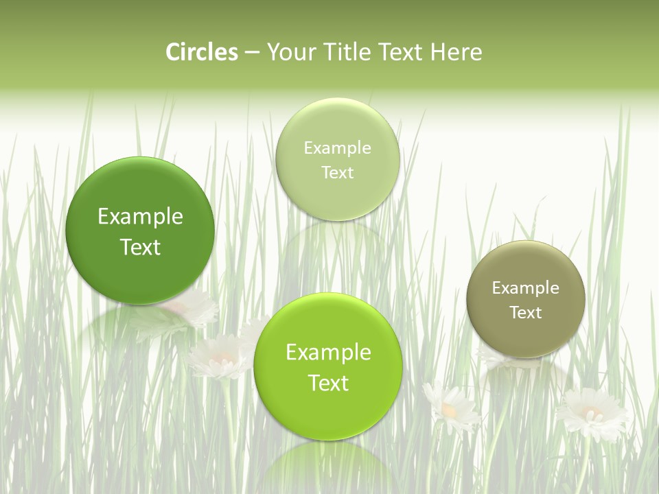 Flower Sprout Isolated PowerPoint Template