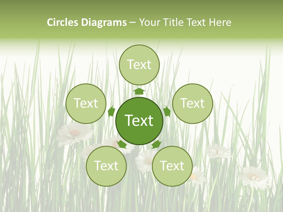 Flower Sprout Isolated PowerPoint Template