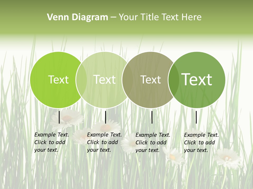 Flower Sprout Isolated PowerPoint Template