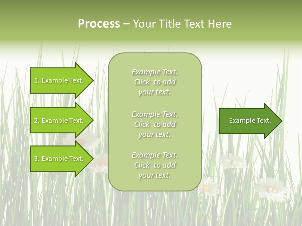 Flower Sprout Isolated PowerPoint Template