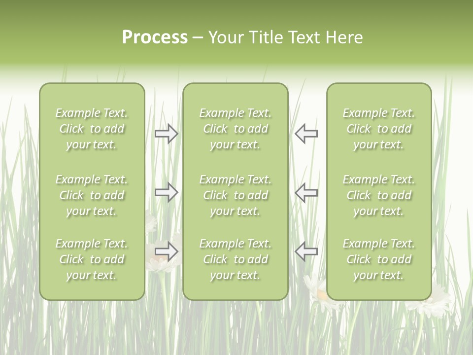 Flower Sprout Isolated PowerPoint Template