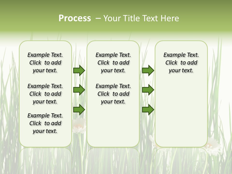 Flower Sprout Isolated PowerPoint Template