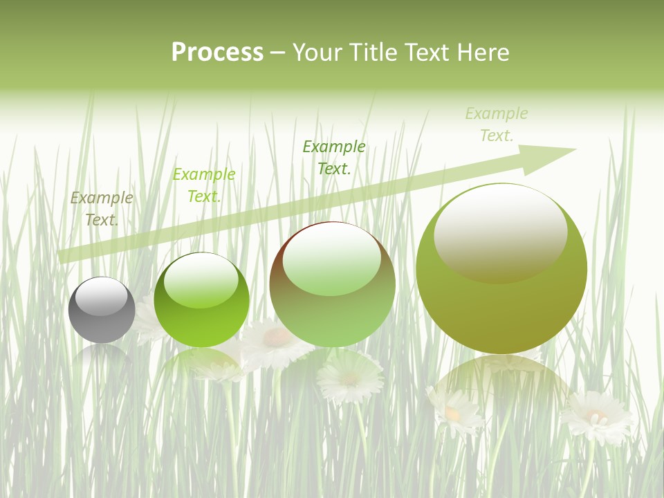 Flower Sprout Isolated PowerPoint Template