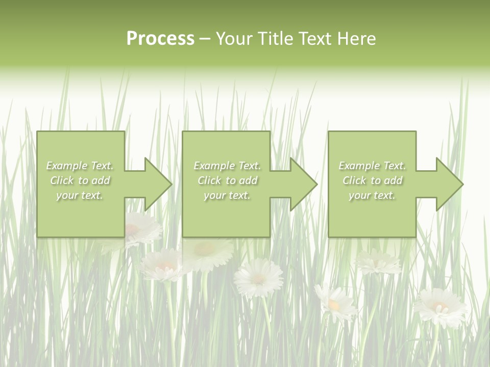 Flower Sprout Isolated PowerPoint Template