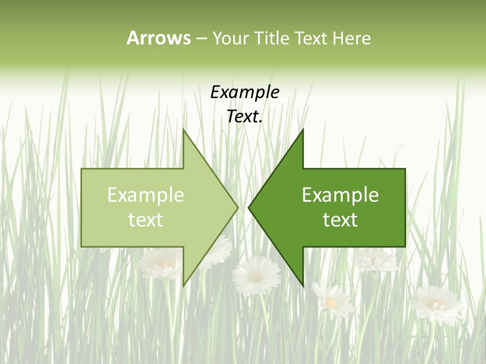 Flower Sprout Isolated PowerPoint Template