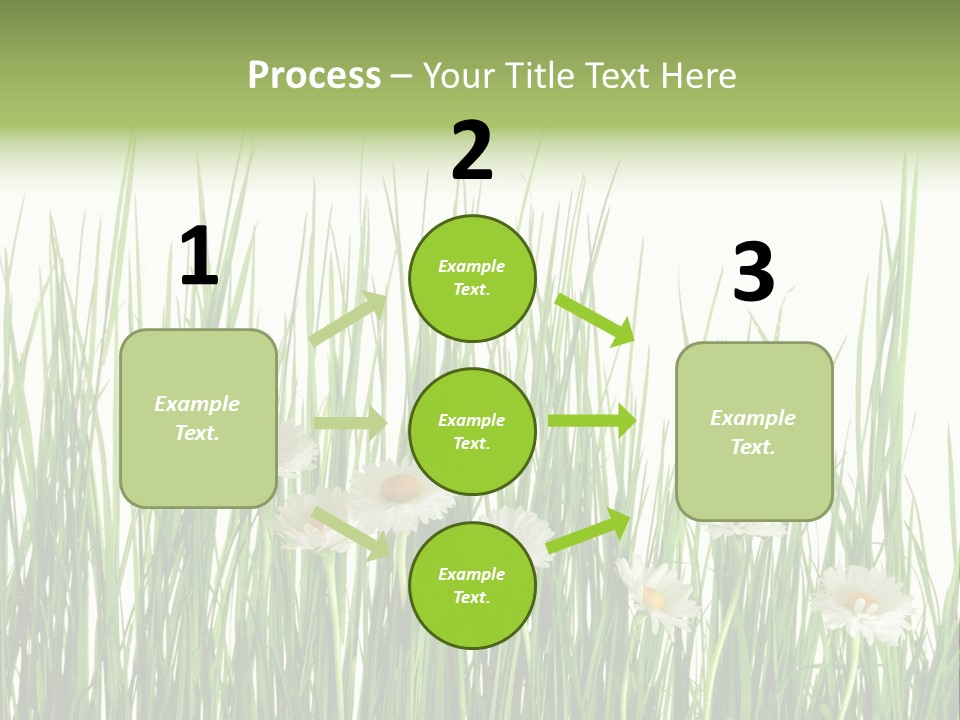 Flower Sprout Isolated PowerPoint Template