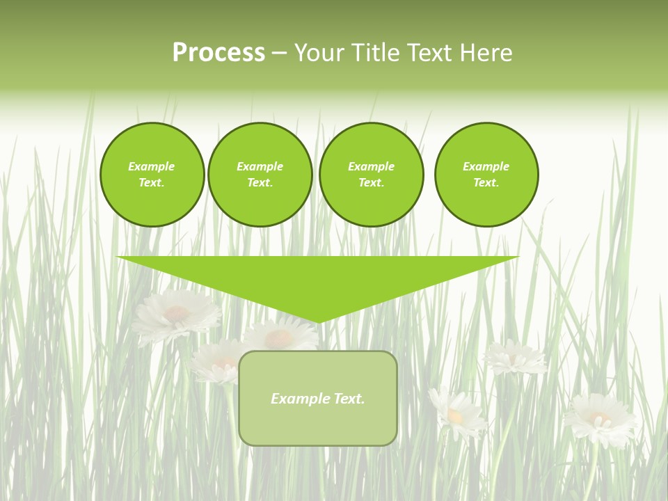 Flower Sprout Isolated PowerPoint Template