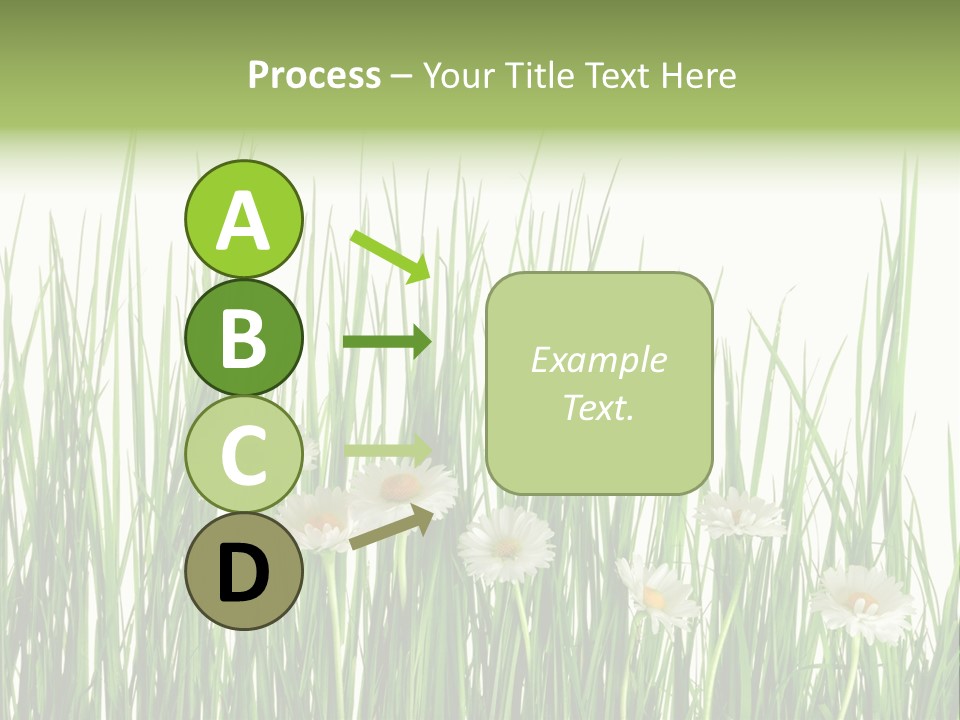 Flower Sprout Isolated PowerPoint Template