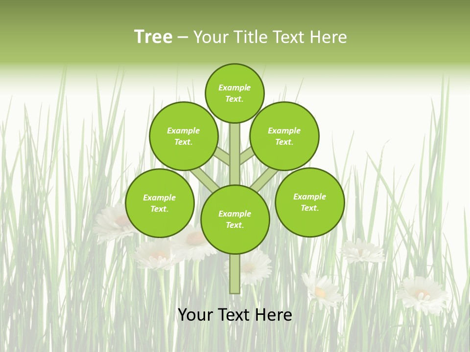 Flower Sprout Isolated PowerPoint Template