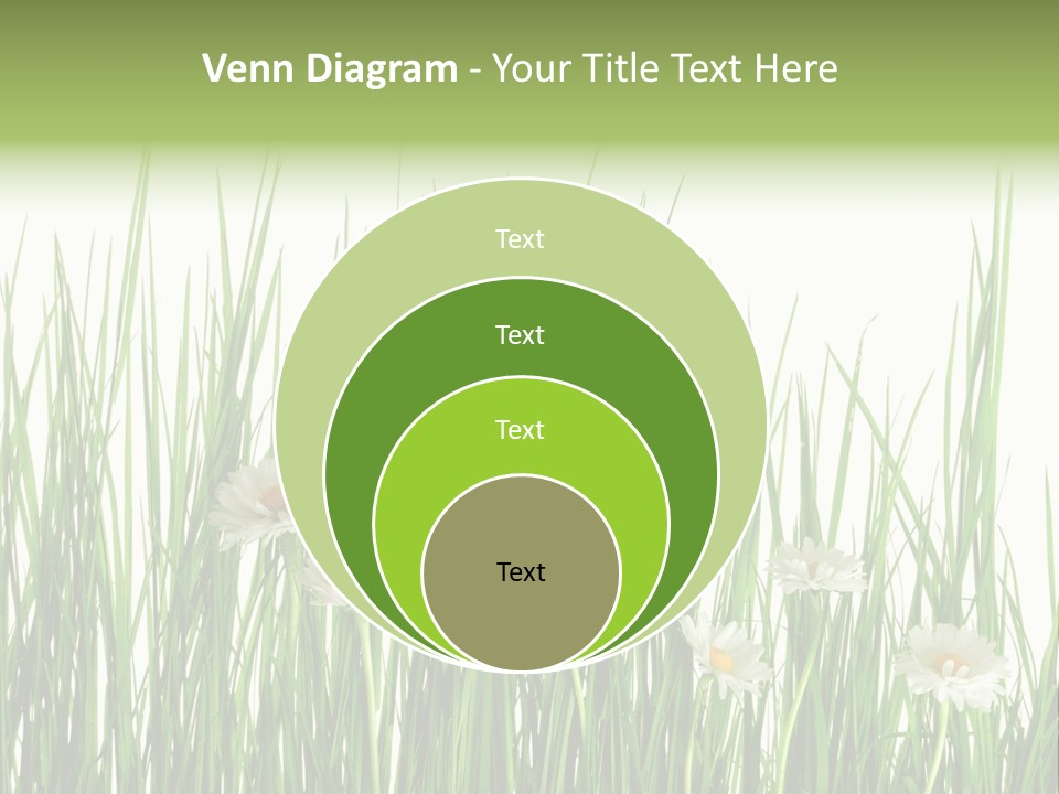 Flower Sprout Isolated PowerPoint Template