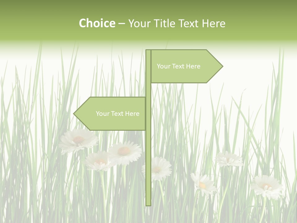 Flower Sprout Isolated PowerPoint Template