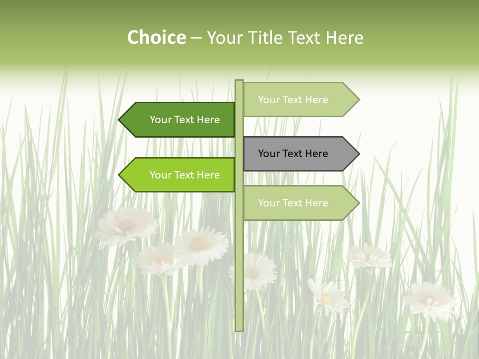 Flower Sprout Isolated PowerPoint Template