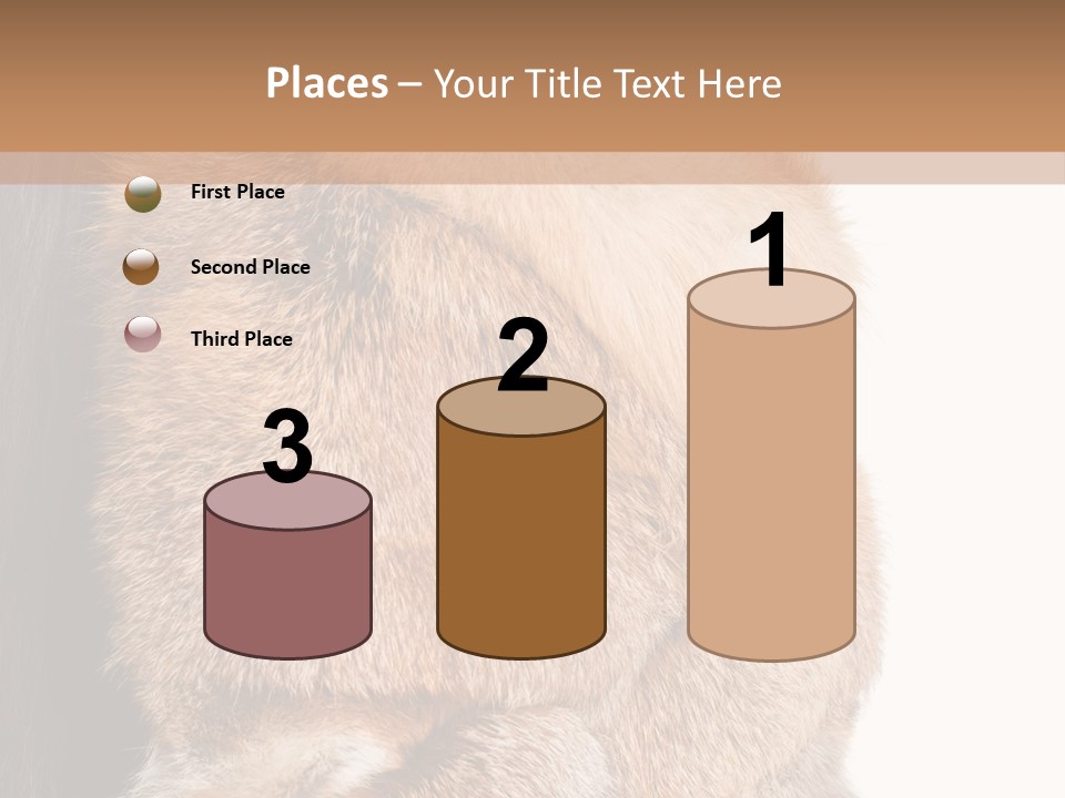 Beautiful Woman In Fur Coat PowerPoint Template