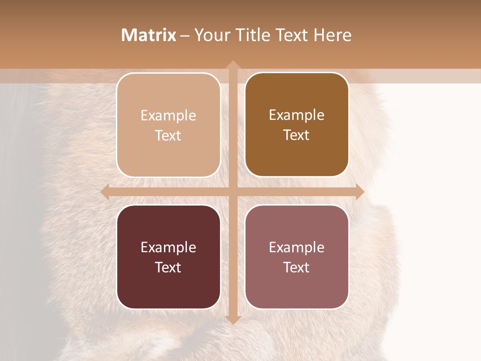 Beautiful Woman In Fur Coat PowerPoint Template