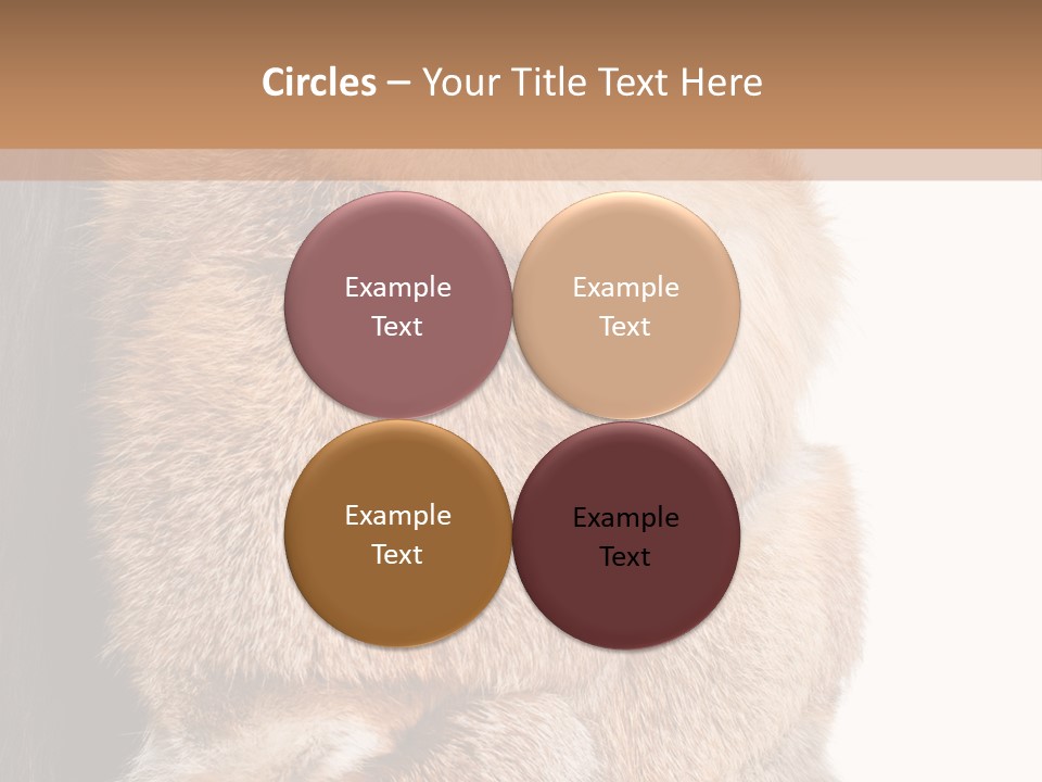 Beautiful Woman In Fur Coat PowerPoint Template