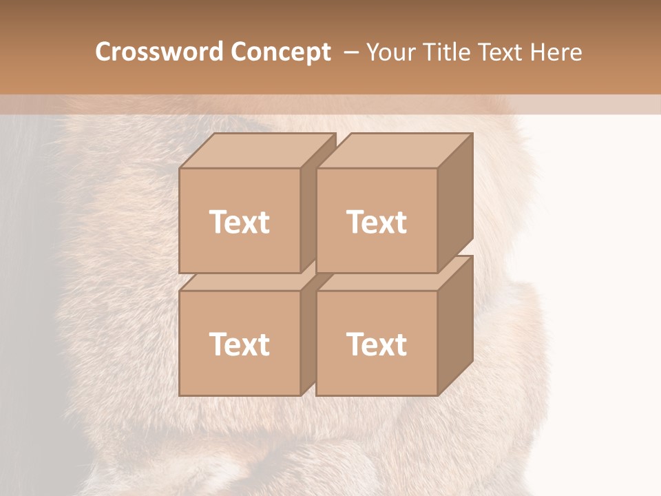 Beautiful Woman In Fur Coat PowerPoint Template