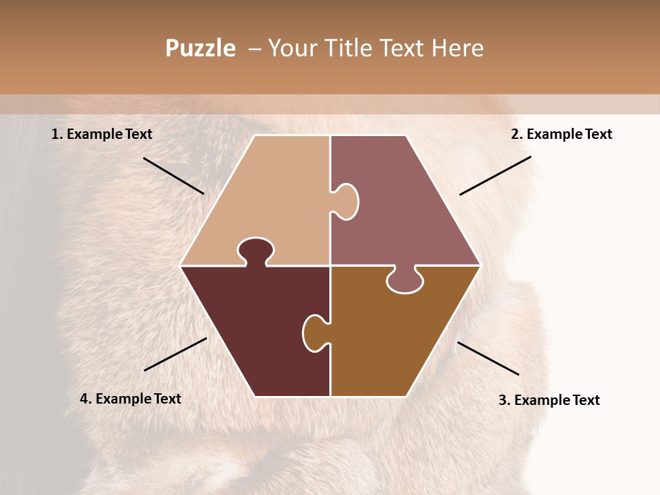 Beautiful Woman In Fur Coat PowerPoint Template