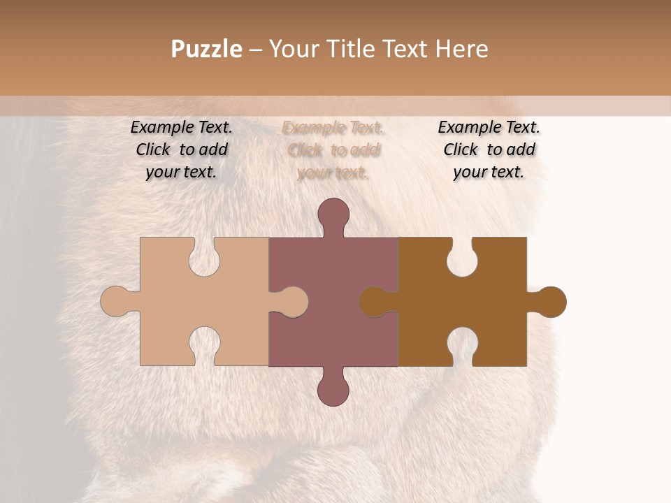 Beautiful Woman In Fur Coat PowerPoint Template