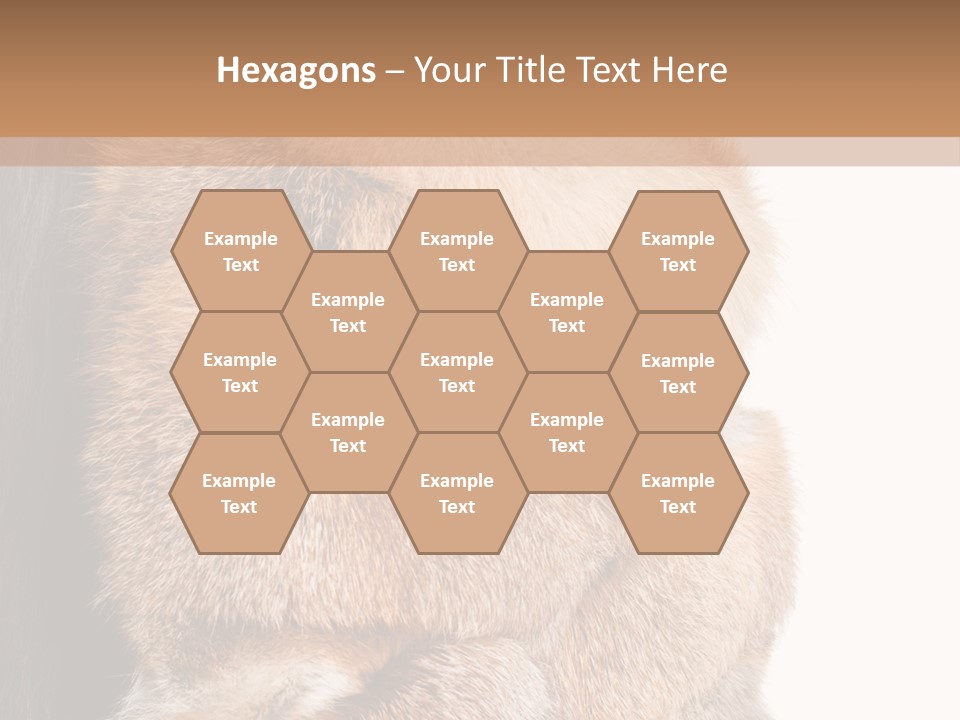 Beautiful Woman In Fur Coat PowerPoint Template