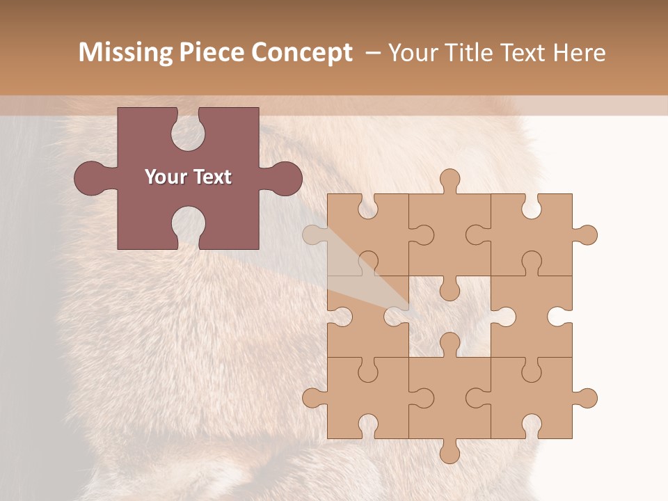 Beautiful Woman In Fur Coat PowerPoint Template