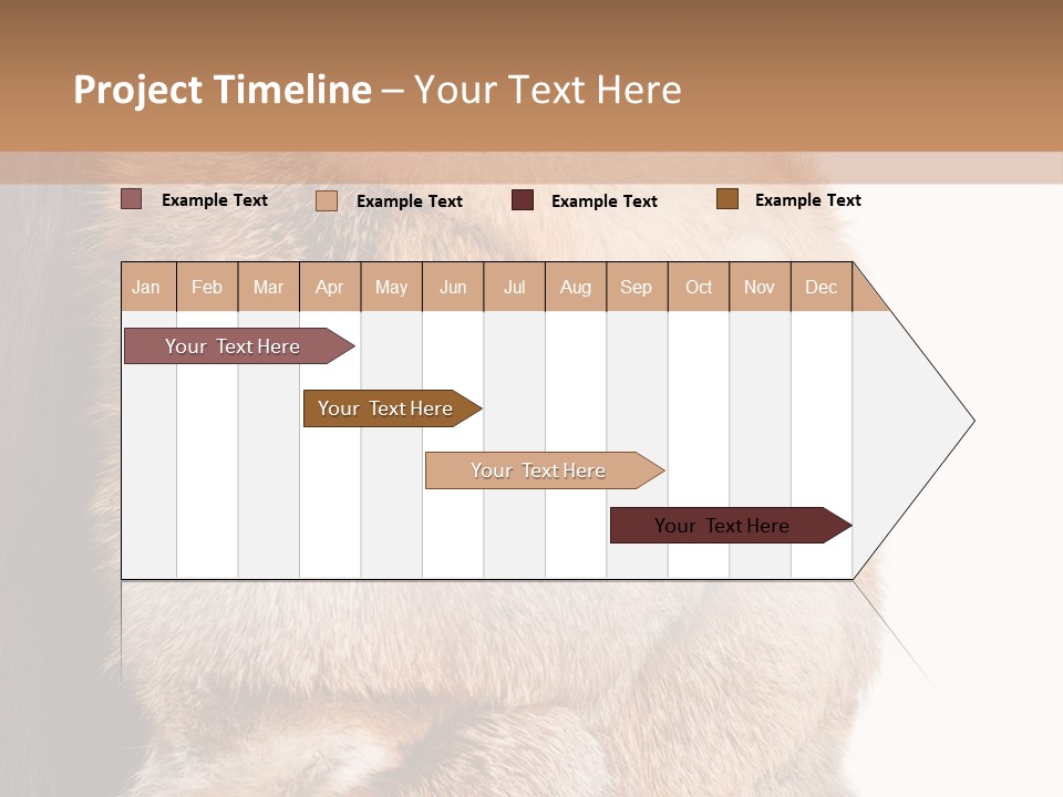 Beautiful Woman In Fur Coat PowerPoint Template