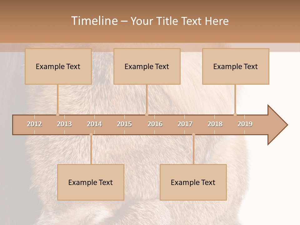 Beautiful Woman In Fur Coat PowerPoint Template