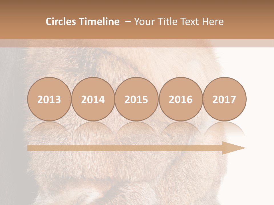 Beautiful Woman In Fur Coat PowerPoint Template