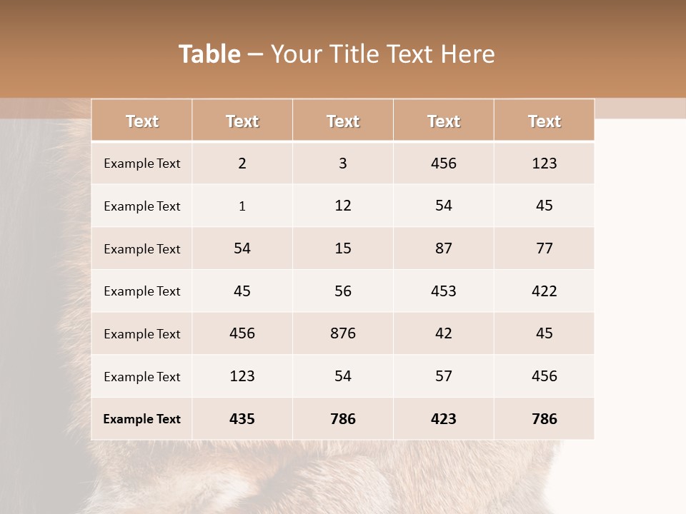 Beautiful Woman In Fur Coat PowerPoint Template