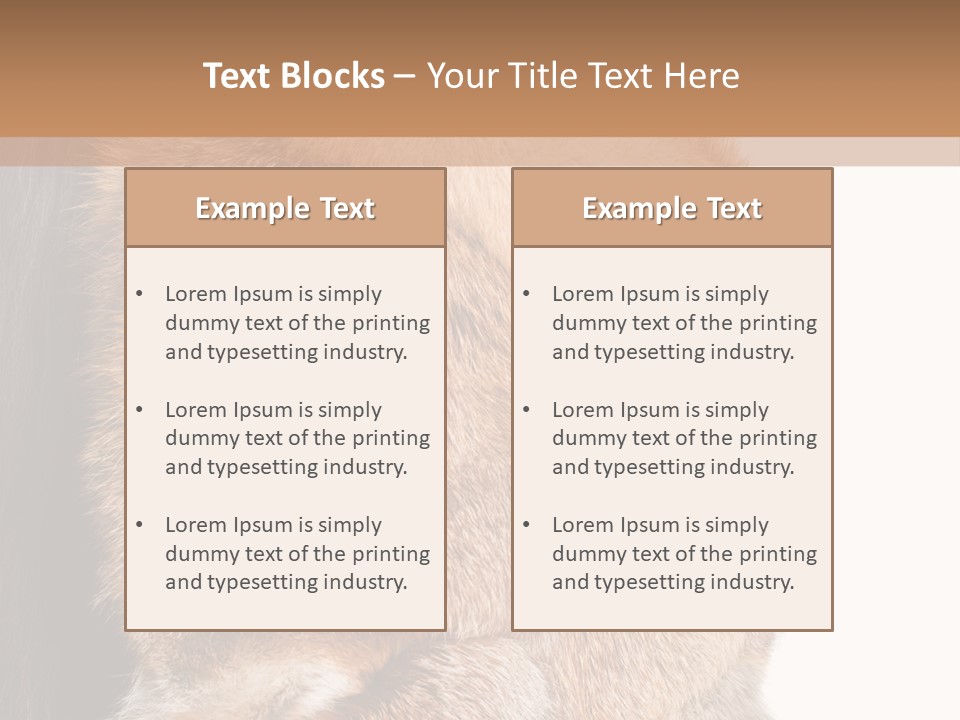 Beautiful Woman In Fur Coat PowerPoint Template