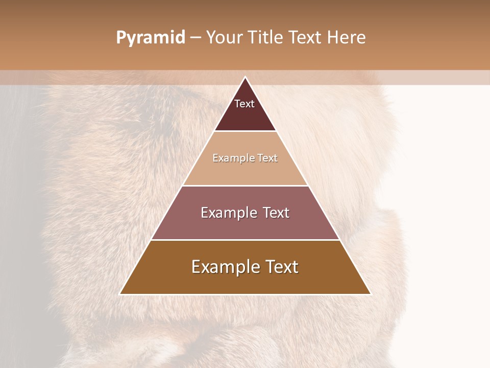 Beautiful Woman In Fur Coat PowerPoint Template