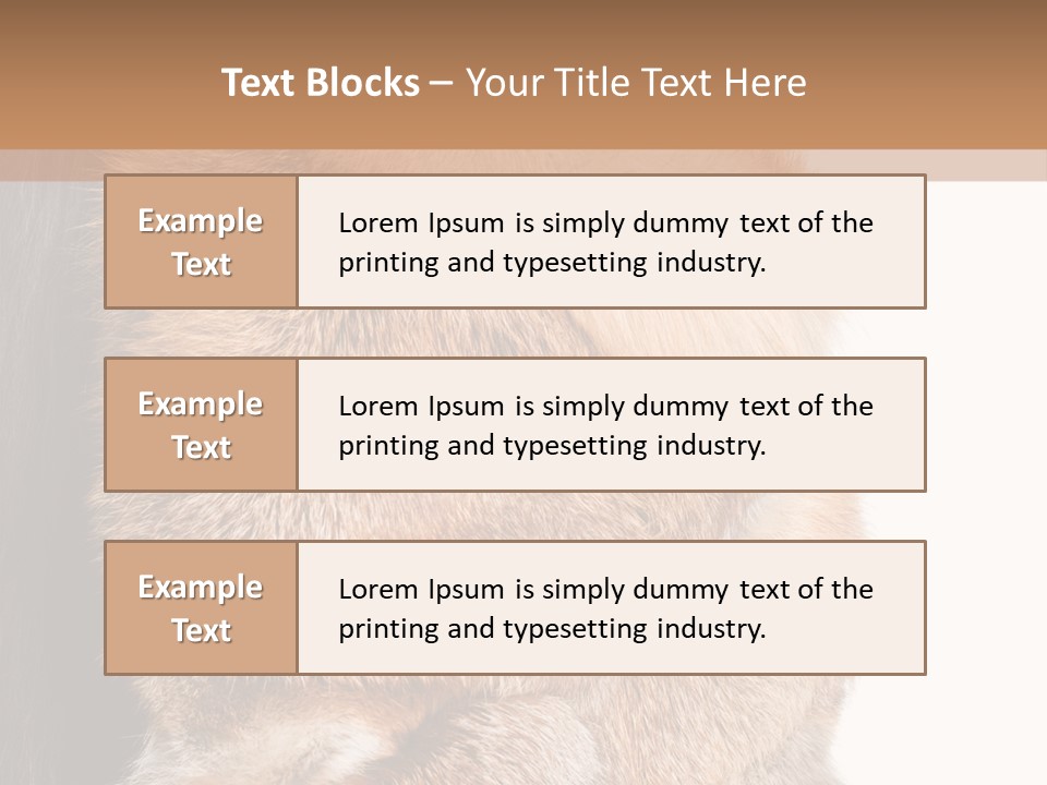 Beautiful Woman In Fur Coat PowerPoint Template